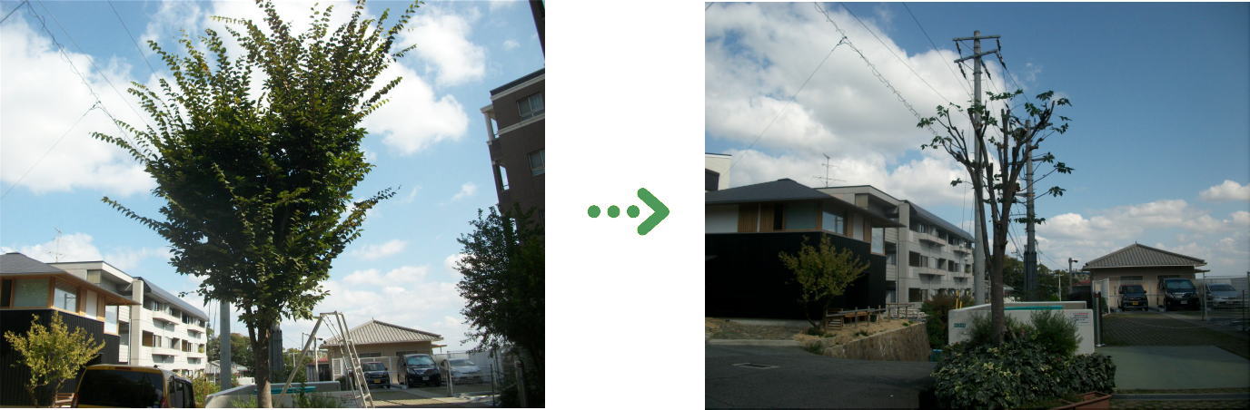 植栽管理の施工前と施工後