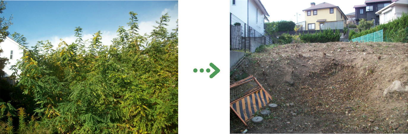 植栽管理の施工前と施工後